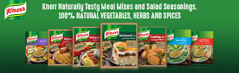 Knorr meal mixes at hollandforyou