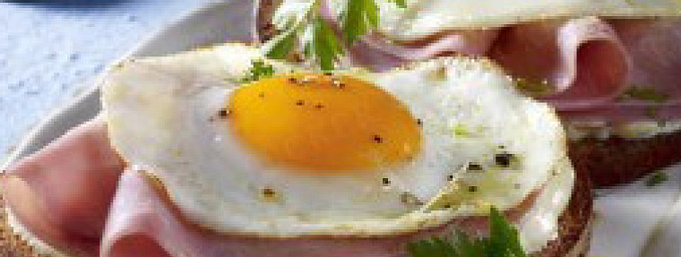 fried egg sandwich uitsmijter